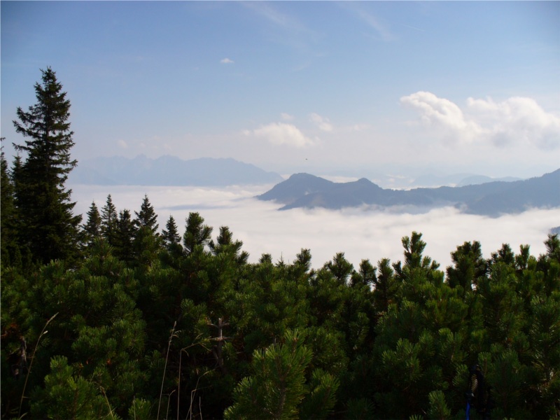 Nebel und Kaiser