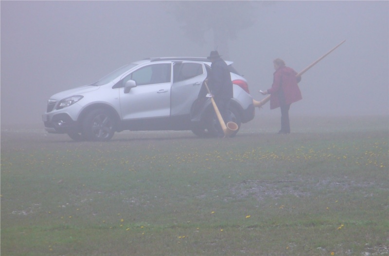 Alphorn