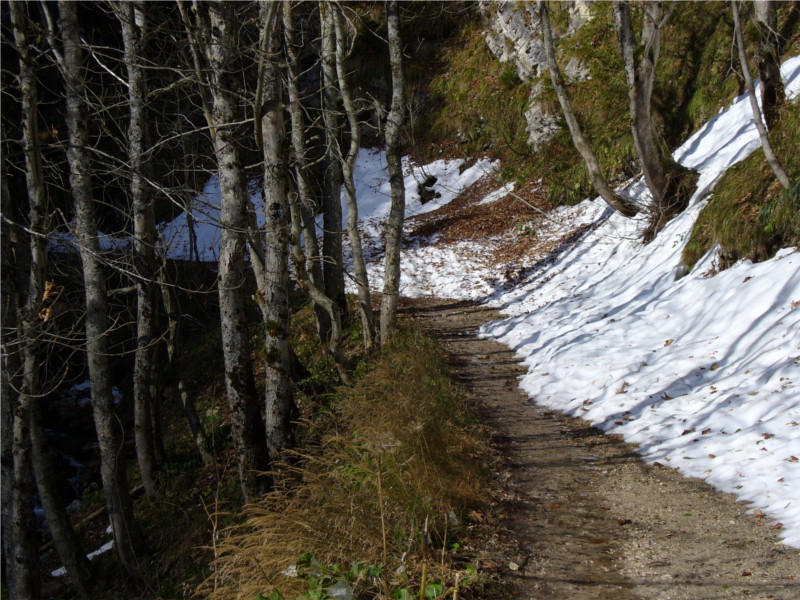 Weg mit Schnee