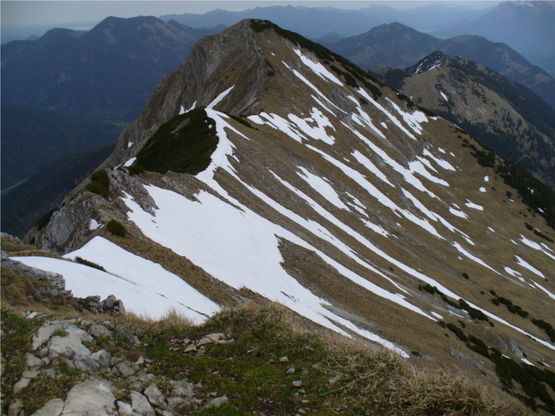 Krenspitze